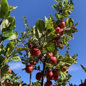 Join us on a tour and tasting